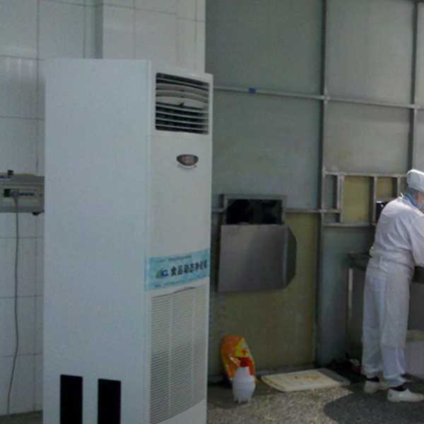 阜阳食品正负离子空气杀菌器